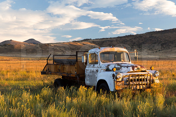 "Last Stop" (CO)