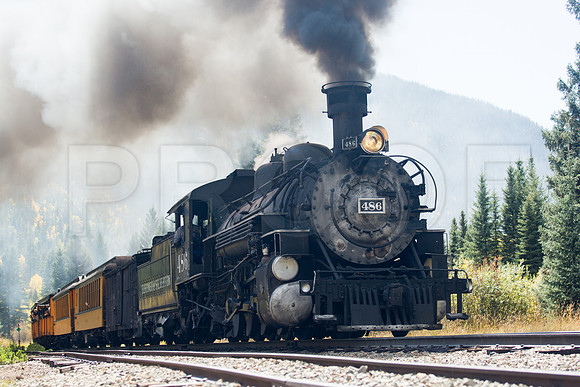 "486 in Color" (CO)