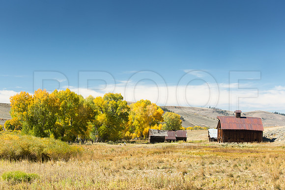 "Farm Foliage" (CO)