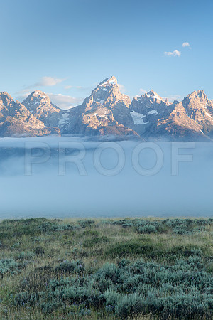"Morning Mist" (WY)