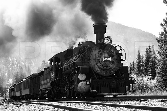 "486 in Black & White"