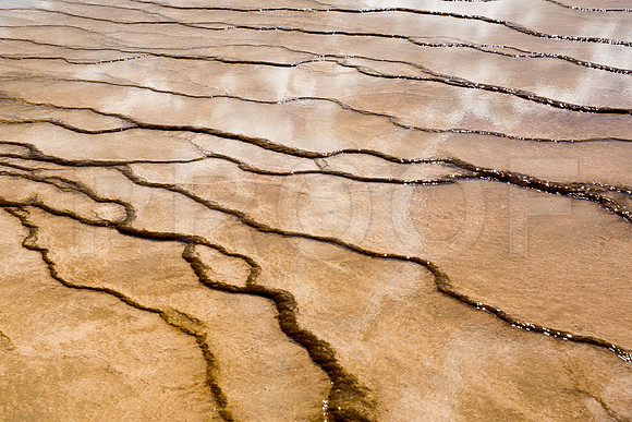 "Yellowstone Waves" (WY)