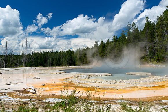 Solitary Geyser (WY)