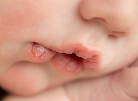 Newborn Closeup Image Captured by Denver Colorado Photographer Donna Young